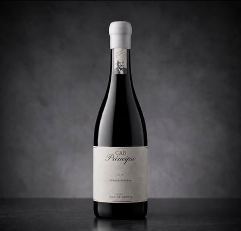 Bottle of red wine with white foil cap and label against a dark gray textured background